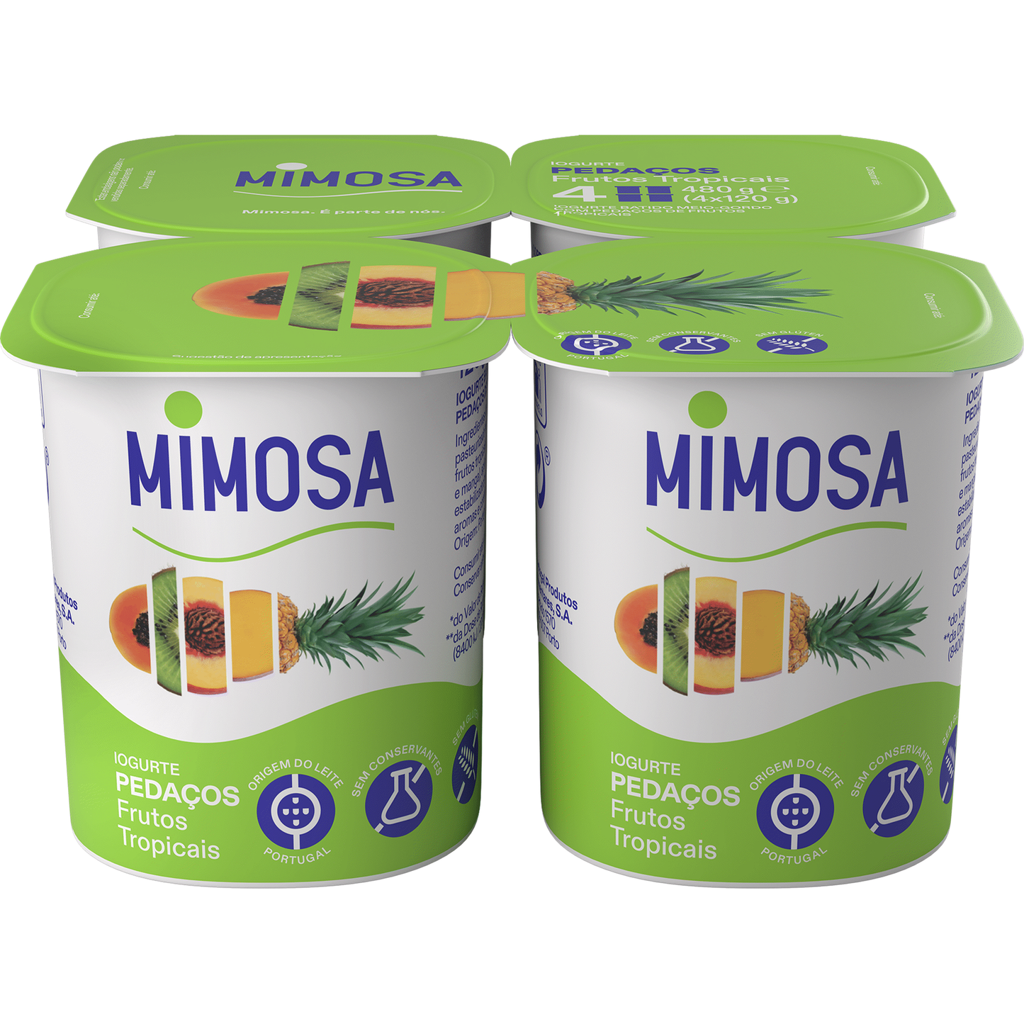 Iogurte Pedaços Frutos Tropicais