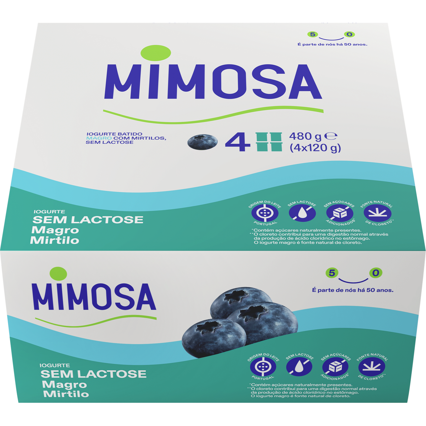 Iogurte Magro Mirtilo sem Lactose