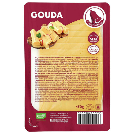 Queijo Gouda Fatiado