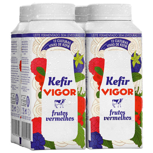 Leite Kefir de Frutos Vermelhos