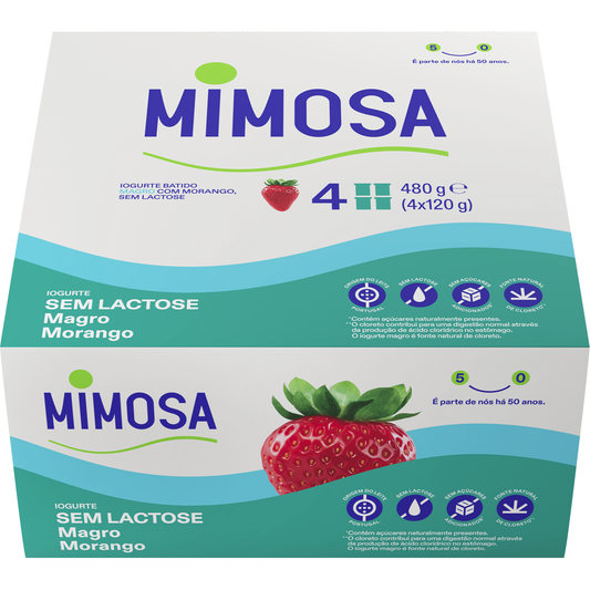 Iogurte Magro Morango sem Lactose