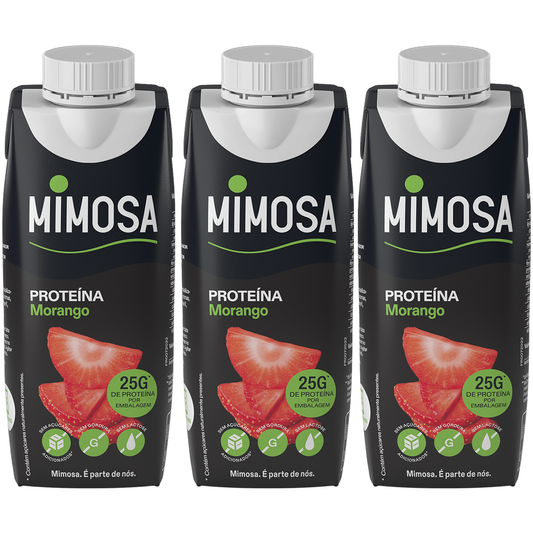 Leite Proteína Morango sem Lactose