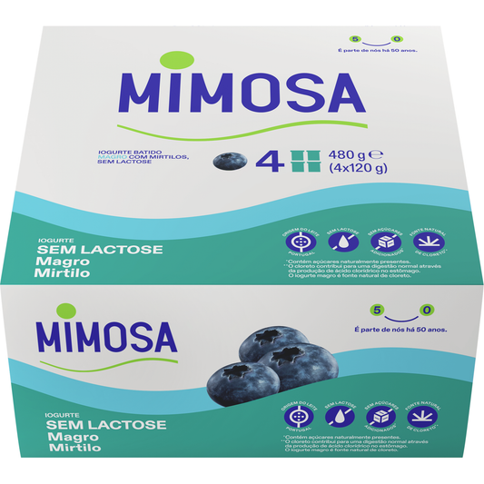 Iogurte Magro Mirtilo sem Lactose